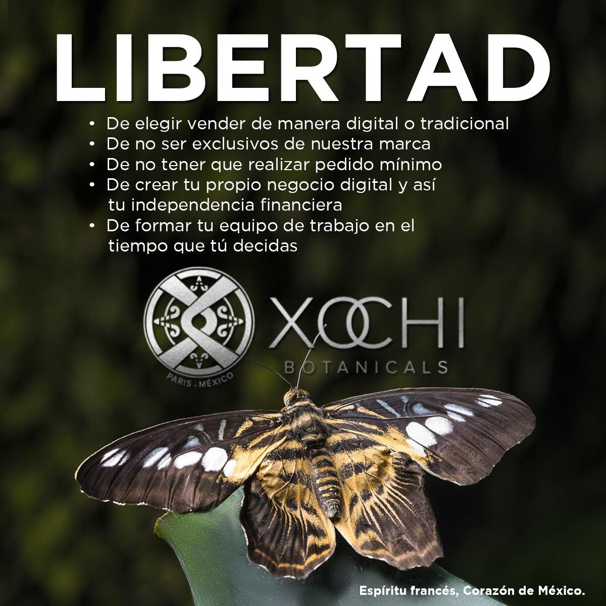 libertad