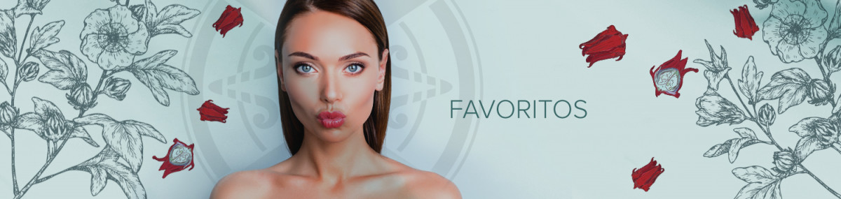 Favoritos