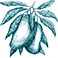 Manteca de Mango