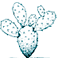 Extracto de Cactus